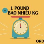 1 pound bằng bao nhiêu kg? Cách đổi pound sang kg dễ dàng