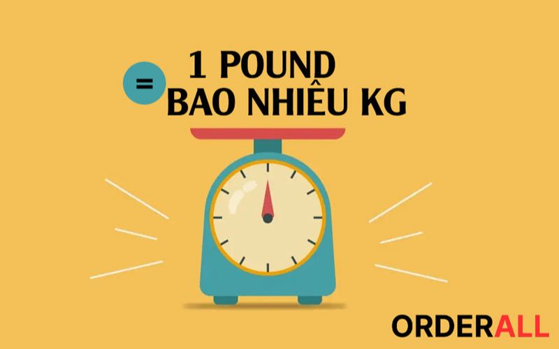 1 pound bằng bao nhiêu kg? Cách đổi pound sang kg dễ dàng