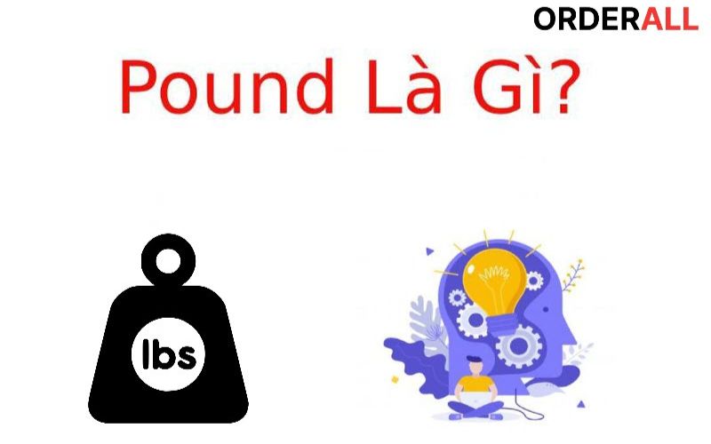 Đơn vị pound là gì?