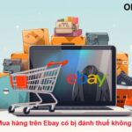 TRẢ LỜI: mua hàng trên ebay có bị đánh thuế không?
